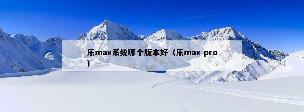 乐max系统哪个版本好（乐max pro）