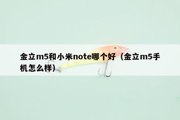 金立m5和小米note哪个好（金立m5手机怎么样）