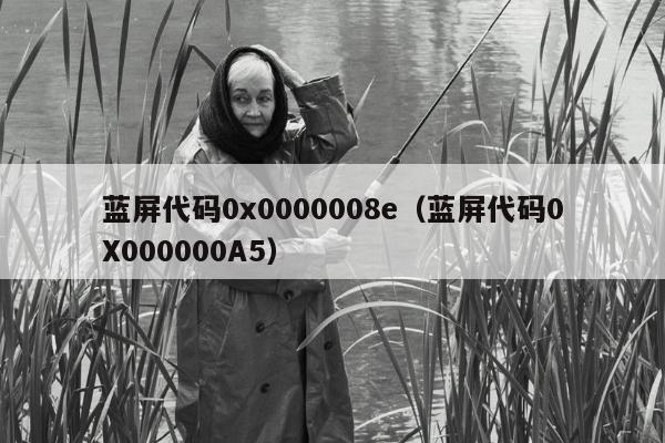 蓝屏代码0x0000008e（蓝屏代码0X000000A5）