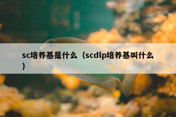 sc培养基是什么（scdlp培养基叫什么）