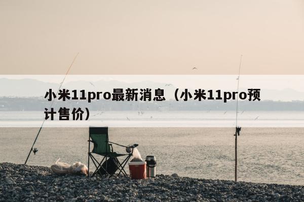 小米11pro最新消息（小米11pro预计售价）