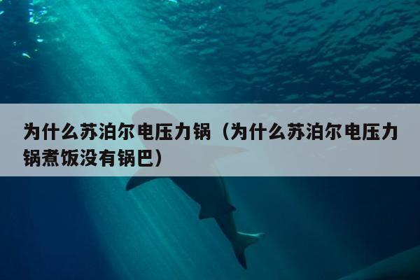 为什么苏泊尔电压力锅（为什么苏泊尔电压力锅煮饭没有锅巴）