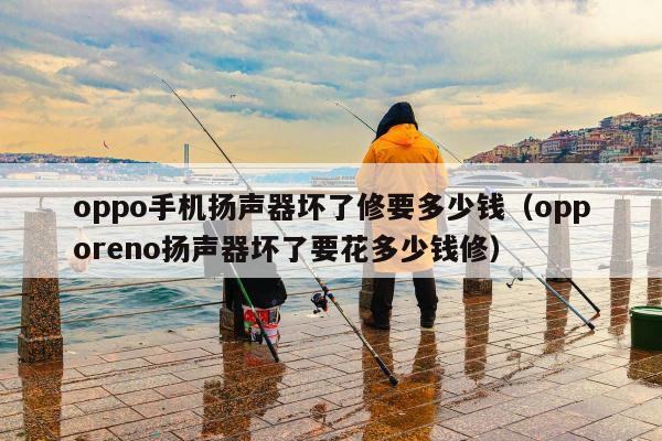 oppo手机扬声器坏了修要多少钱（opporeno扬声器坏了要花多少钱修）