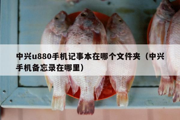 中兴u880手机记事本在哪个文件夹（中兴手机备忘录在哪里）