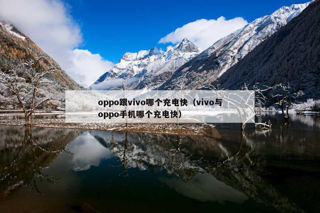 oppo跟vivo哪个充电快（vivo与oppo手机哪个充电快）