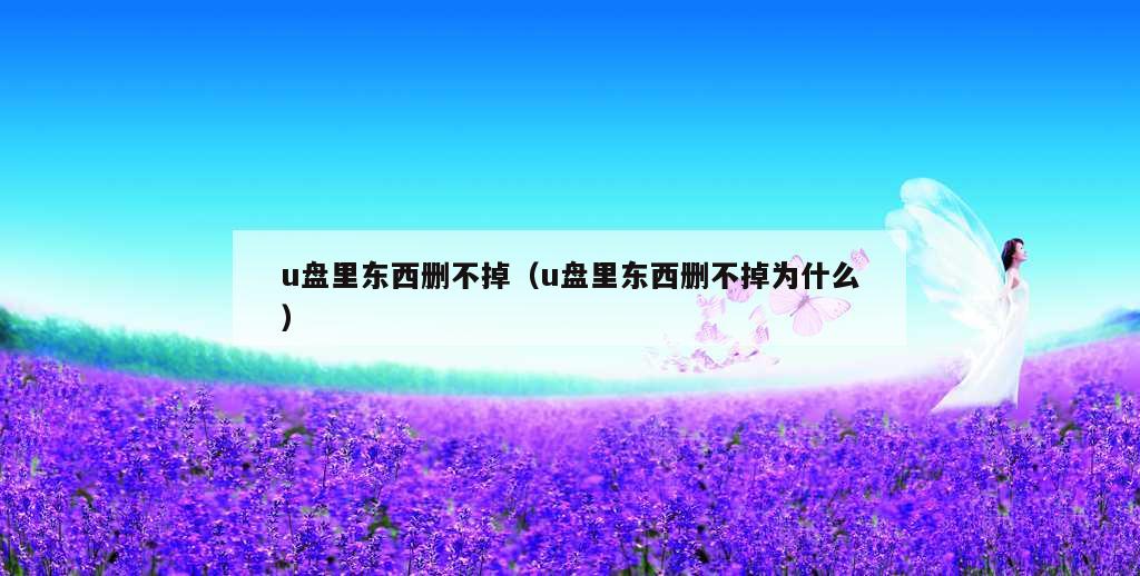 u盘里东西删不掉（u盘里东西删不掉为什么）