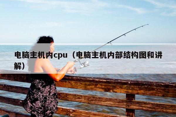 电脑主机内cpu（电脑主机内部结构图和讲解）