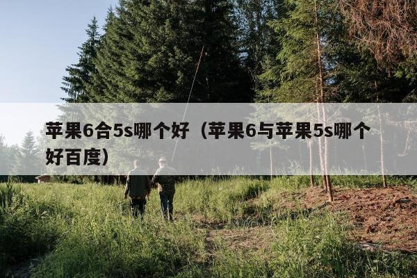 苹果6合5s哪个好（苹果6与苹果5s哪个好百度）