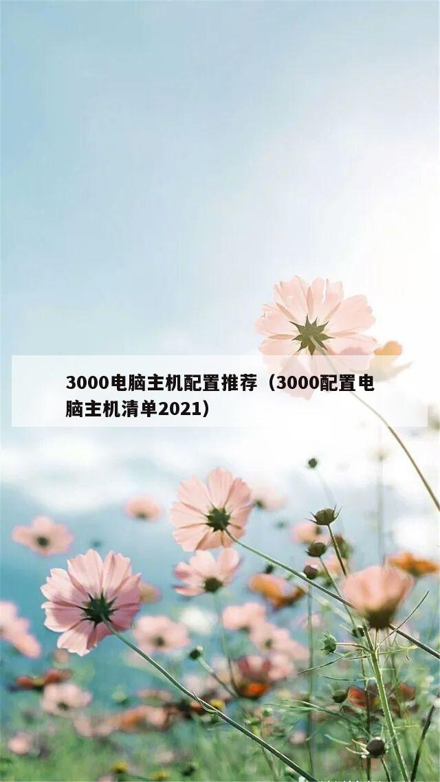 3000电脑主机配置推荐（3000配置电脑主机清单2021）