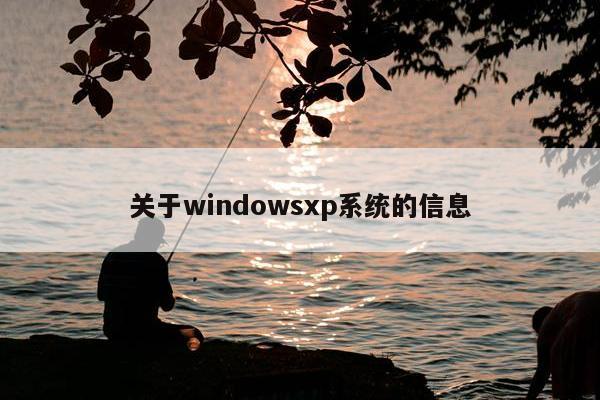 关于windowsxp系统的信息