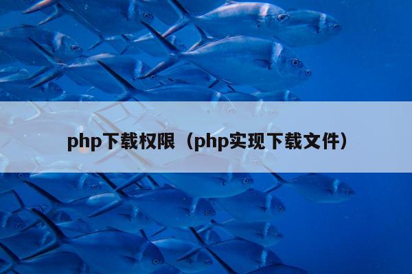 php下载权限（php实现下载文件）