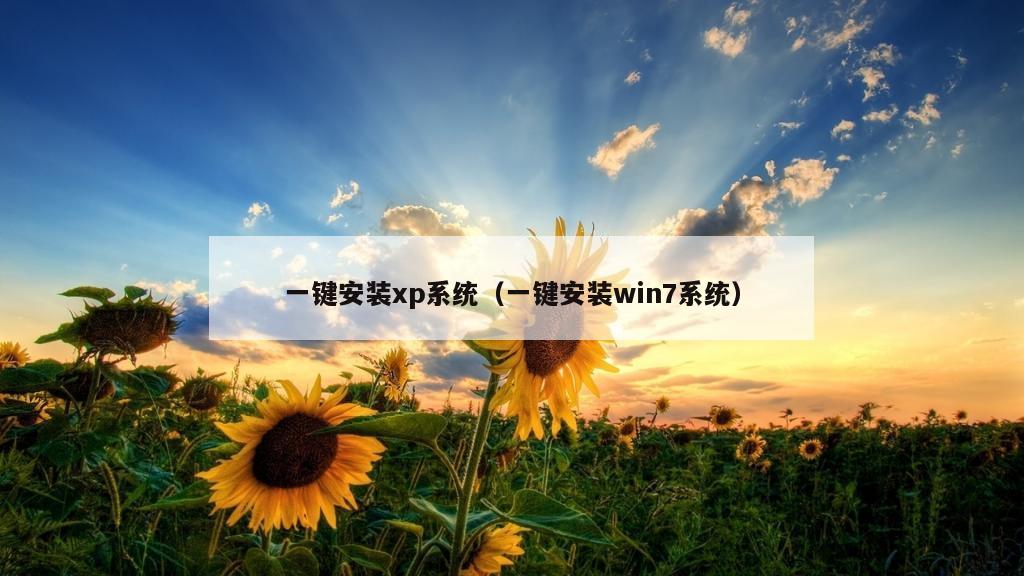 一键安装xp系统（一键安装win7系统）