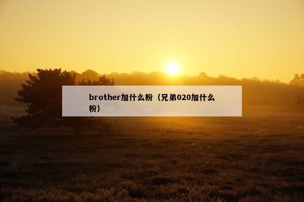 brother加什么粉（兄弟020加什么粉）