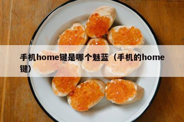 手机home键是哪个魅蓝（手机的home键）