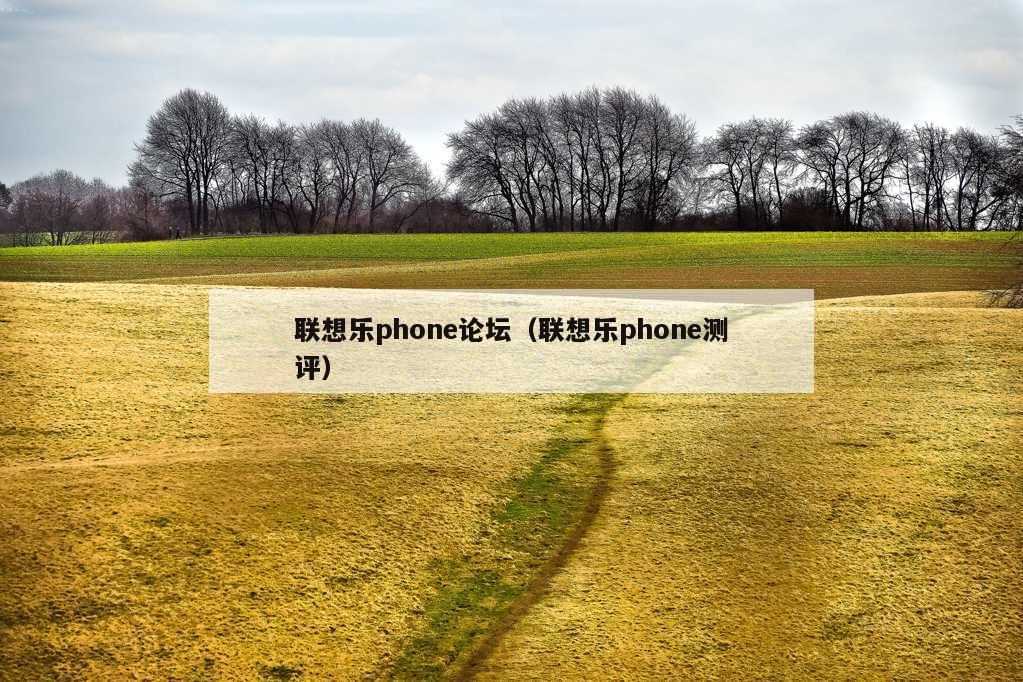 联想乐phone论坛（联想乐phone测评）