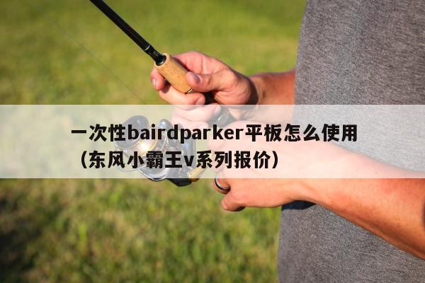 一次性bairdparker平板怎么使用（东风小霸王v系列报价）