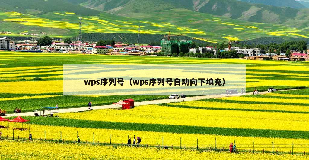 wps序列号（wps序列号自动向下填充）