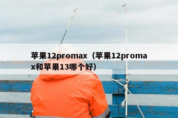 苹果12promax（苹果12promax和苹果13哪个好）