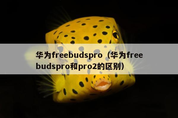 华为freebudspro（华为freebudspro和pro2的区别）