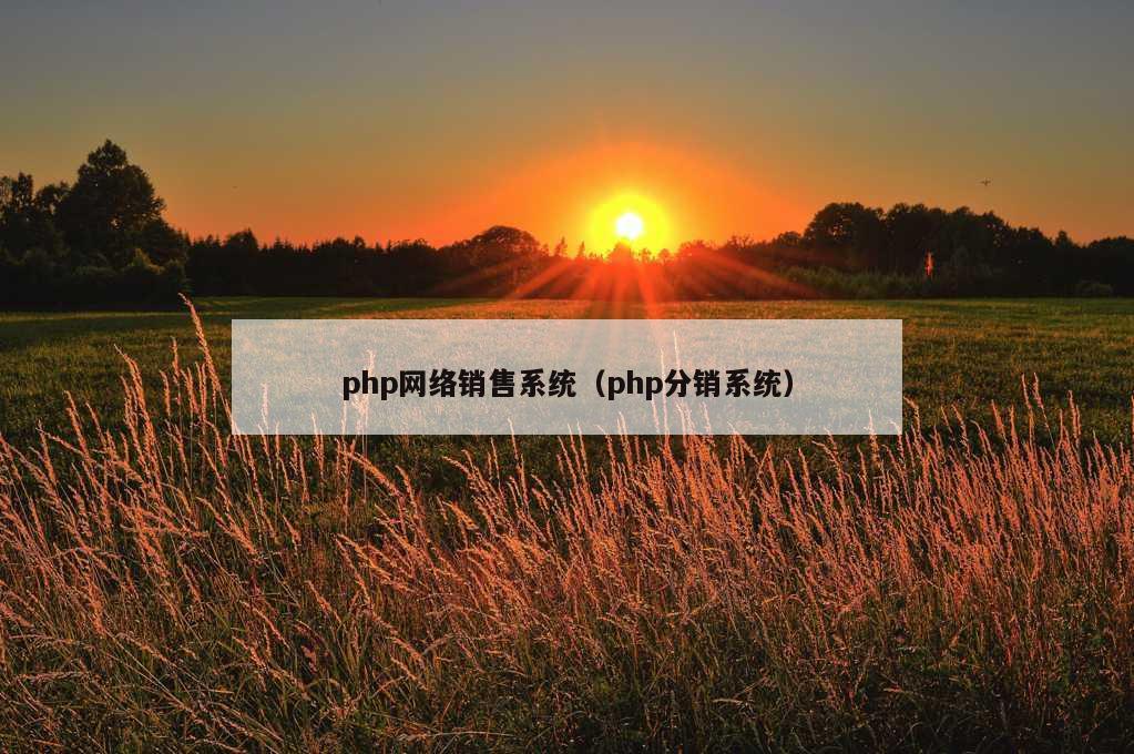 php网络销售系统（php分销系统）