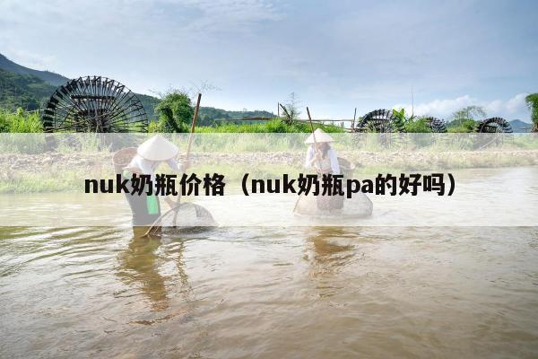 nuk奶瓶价格（nuk奶瓶pa的好吗）