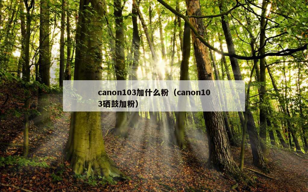 canon103加什么粉（canon103硒鼓加粉）