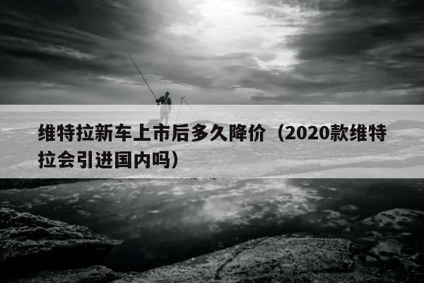 维特拉新车上市后多久降价（2020款维特拉会引进国内吗）