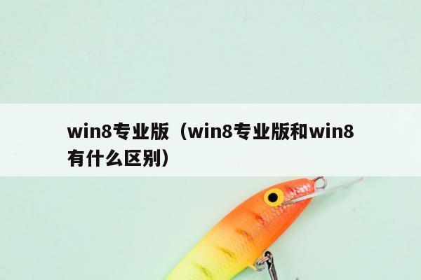 win8专业版（win8专业版和win8有什么区别）