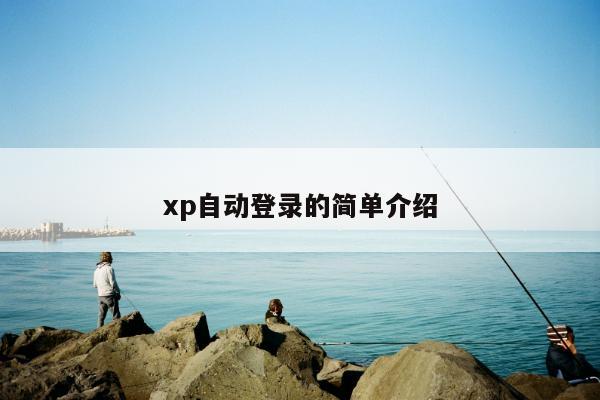 xp自动登录的简单介绍