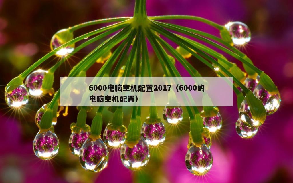 6000电脑主机配置2017（6000的电脑主机配置）