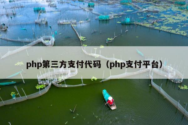 php第三方支付代码（php支付平台）