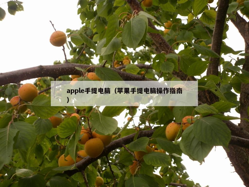 apple手提电脑（苹果手提电脑操作指南）