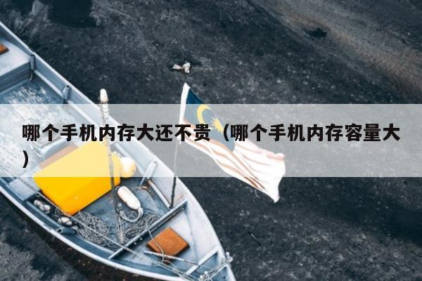 哪个手机内存大还不贵（哪个手机内存容量大）