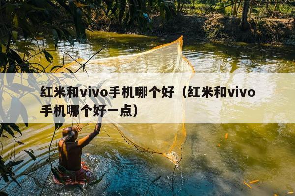 红米和vivo手机哪个好（红米和vivo手机哪个好一点）