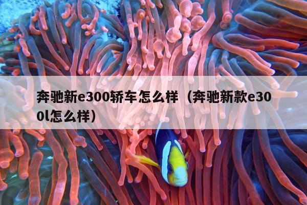 奔驰新e300轿车怎么样（奔驰新款e300l怎么样）