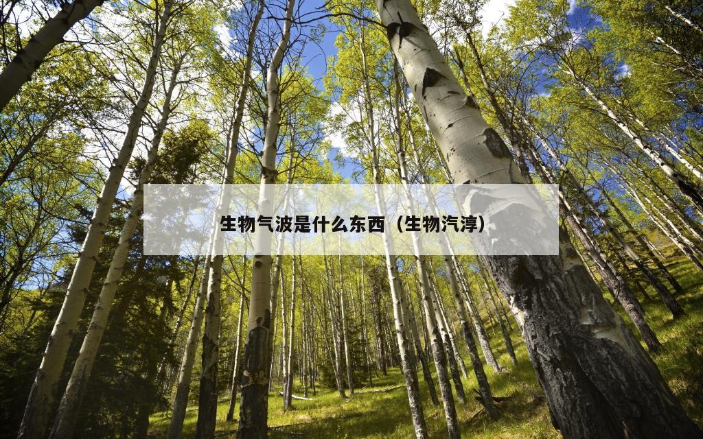 生物气波是什么东西（生物汽淳）