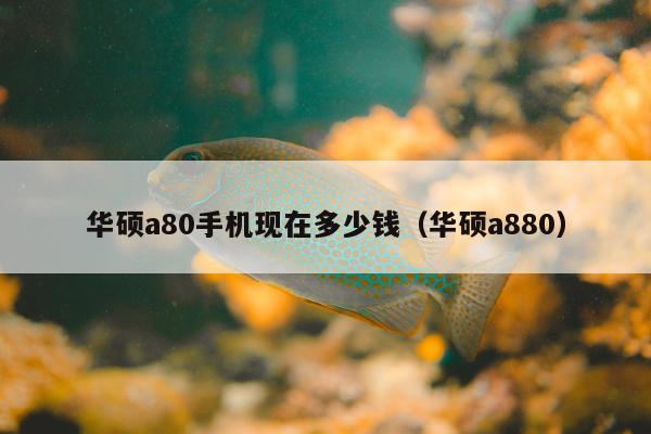 华硕a80手机现在多少钱（华硕a880）