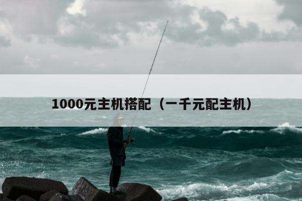 1000元主机搭配（一千元配主机）