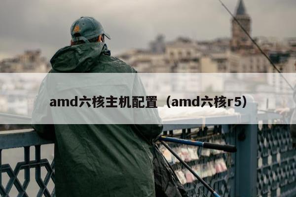 amd六核主机配置（amd六核r5）