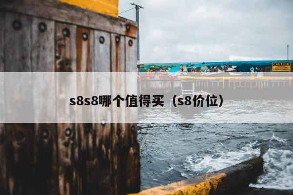 s8s8哪个值得买（s8价位）