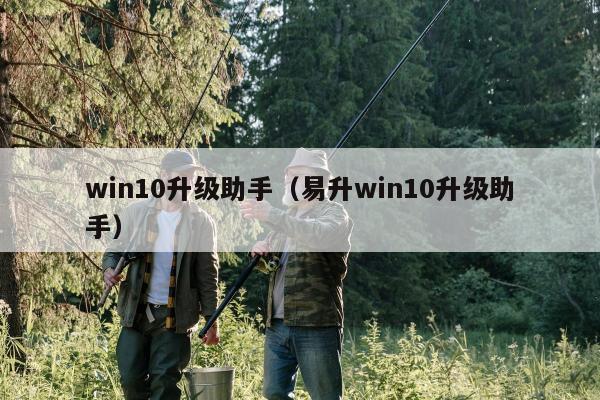 win10升级助手（易升win10升级助手）