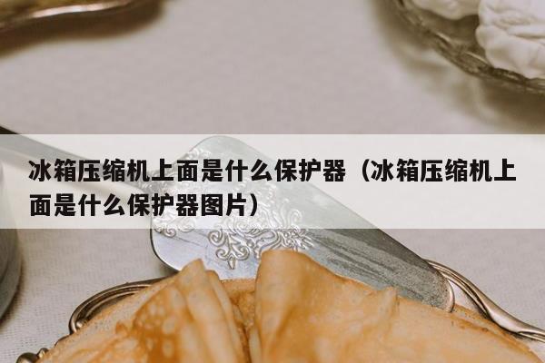 冰箱压缩机上面是什么保护器（冰箱压缩机上面是什么保护器图片）