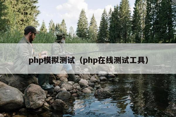 php模拟测试（php在线测试工具）