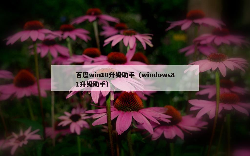 百度win10升级助手（windows81升级助手）