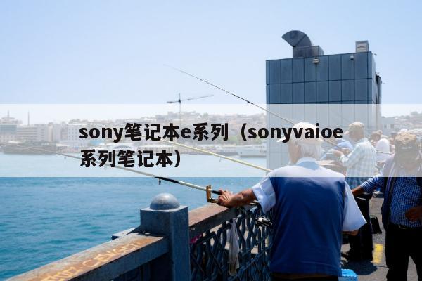 sony笔记本e系列（sonyvaioe系列笔记本）