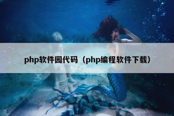 php软件园代码（php编程软件下载）