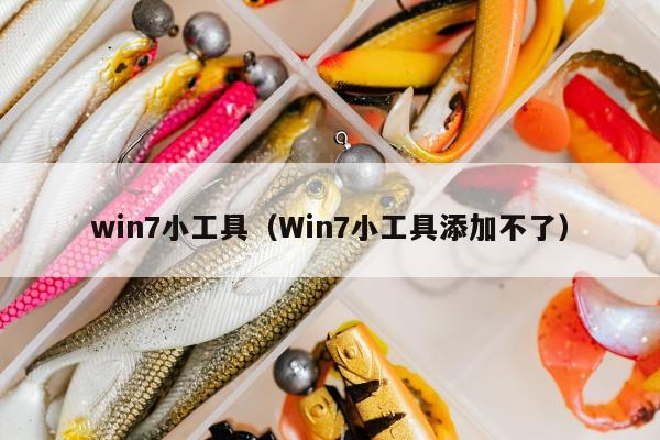 win7小工具（Win7小工具添加不了）