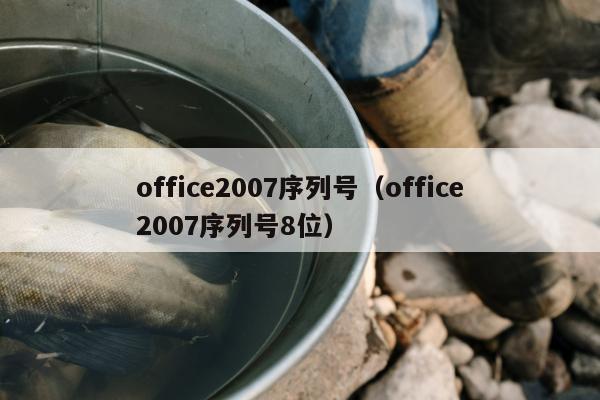 office2007序列号（office2007序列号8位）