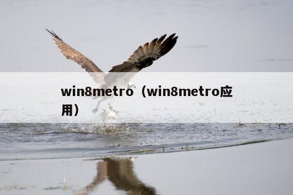 win8metro（win8metro应用）