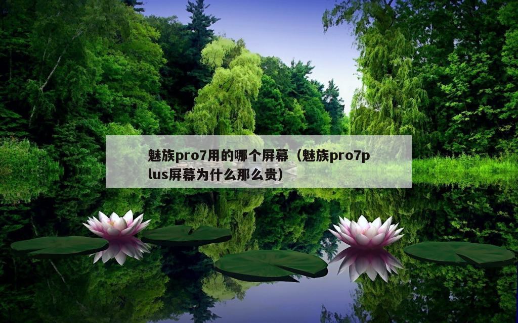 魅族pro7用的哪个屏幕（魅族pro7plus屏幕为什么那么贵）